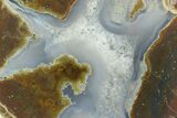 Colorful Polished Thunderegg Half - Nevada #337862-1